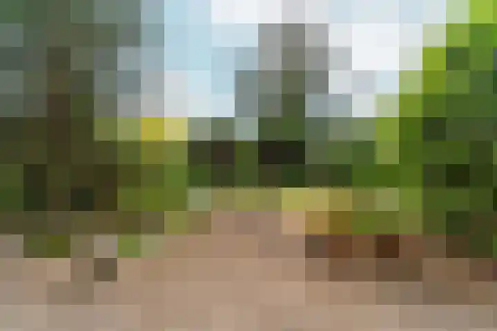 Seytweg 39 Arnhem thumbnail 44