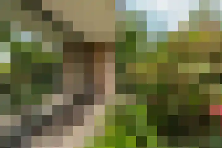 Seytweg 39 Arnhem thumbnail 47