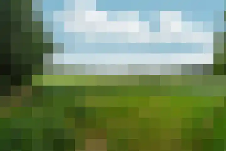Seytweg 39 Arnhem thumbnail 51