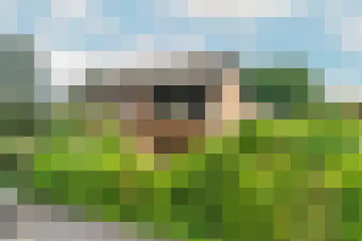 Seytweg 39 Arnhem thumbnail 55