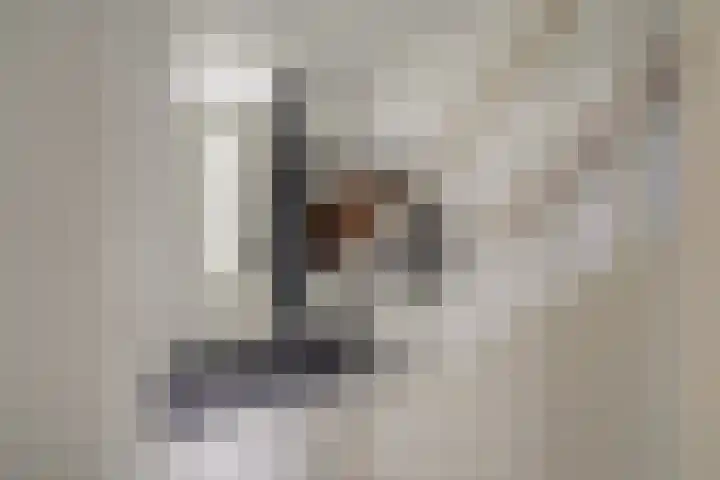 Shetlandpad 14 Zoetermeer thumbnail 10