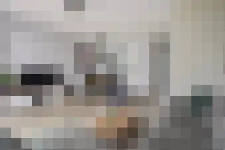 Shetlandpad 14 Zoetermeer thumbnail 13