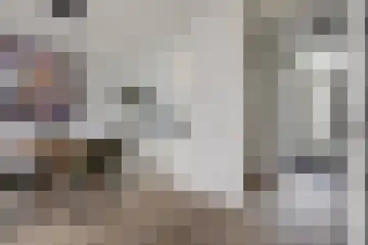 Shetlandpad 14 Zoetermeer thumbnail 14