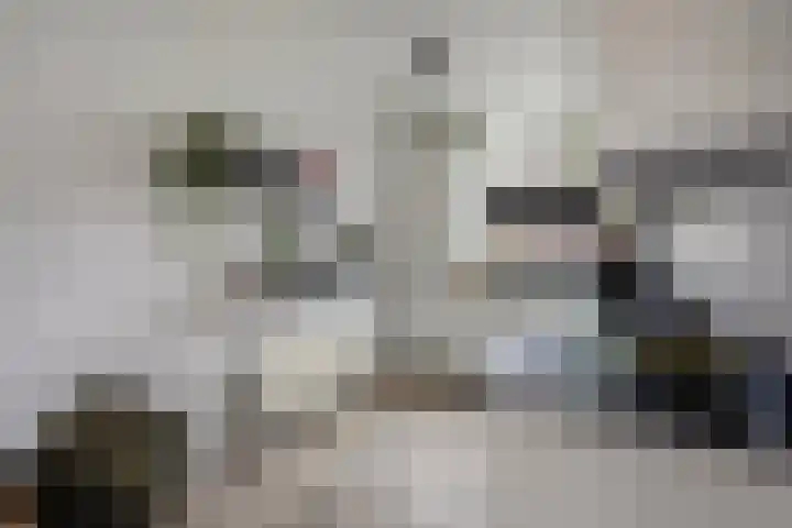 Shetlandpad 14 Zoetermeer thumbnail 15