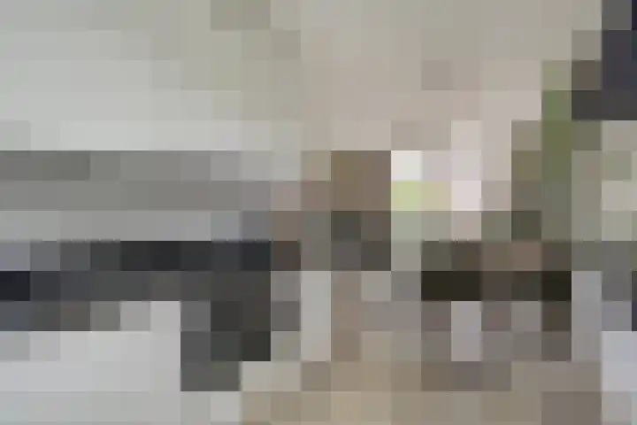 Shetlandpad 14 Zoetermeer thumbnail 16
