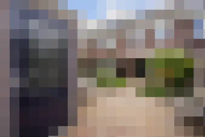 Shetlandpad 14 Zoetermeer thumbnail 21