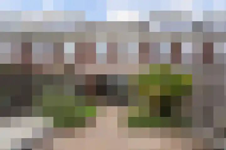 Shetlandpad 14 Zoetermeer thumbnail 22