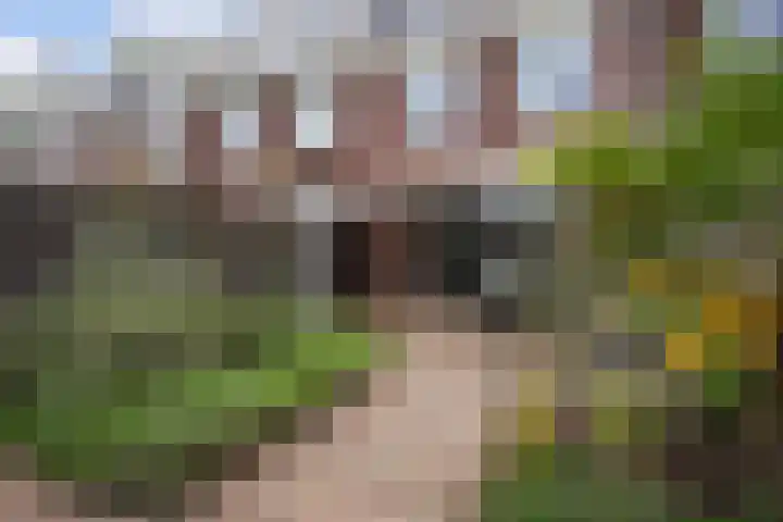 Shetlandpad 14 Zoetermeer thumbnail 23