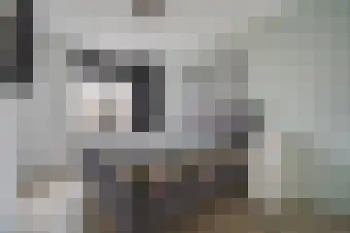 Shetlandpad 14 Zoetermeer thumbnail 27