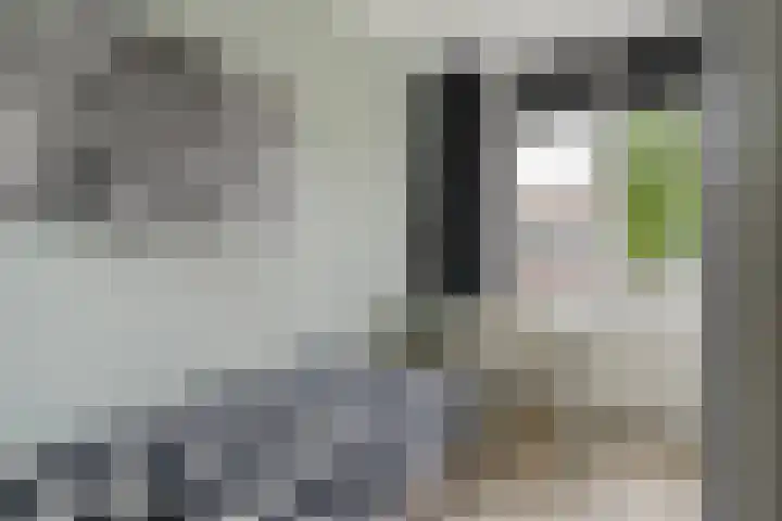 Shetlandpad 14 Zoetermeer thumbnail 30