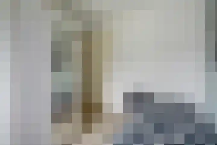 Shetlandpad 14 Zoetermeer thumbnail 31