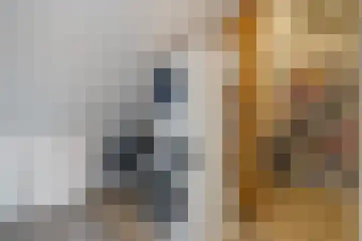 Shetlandpad 14 Zoetermeer thumbnail 37