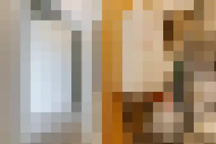 Shetlandpad 14 Zoetermeer thumbnail 38