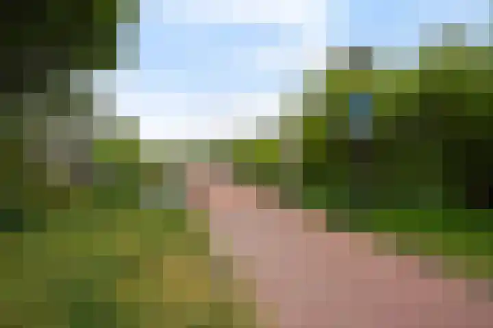 Shetlandpad 14 Zoetermeer thumbnail 39