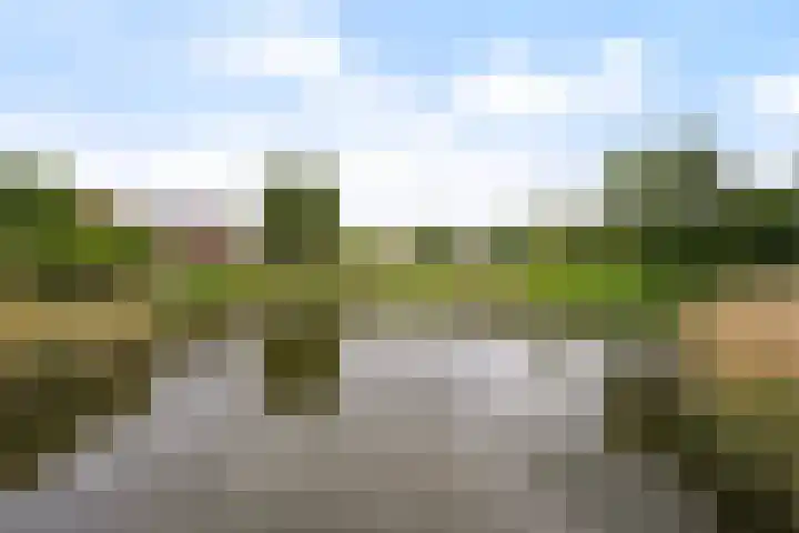 Shetlandpad 14 Zoetermeer thumbnail 41