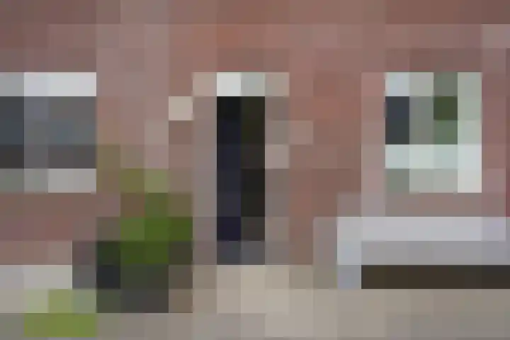Shetlandpad 14 Zoetermeer thumbnail 9