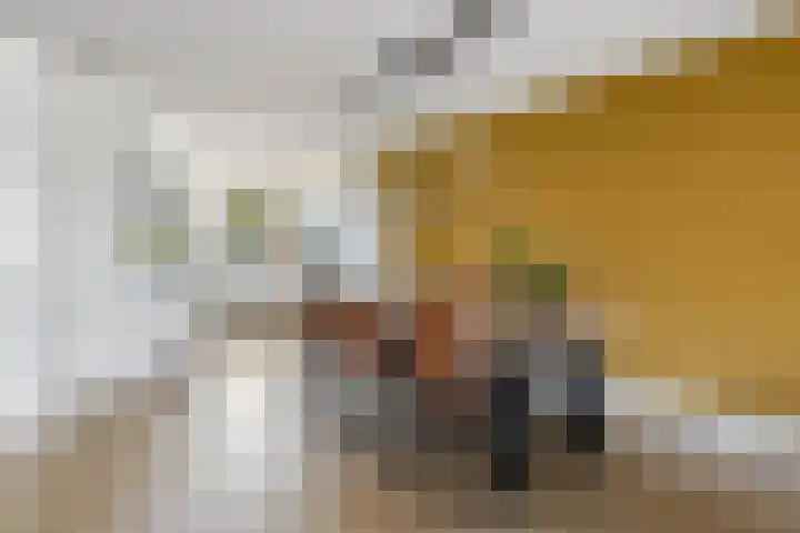 Shipovalaan 21 Utrecht thumbnail 10