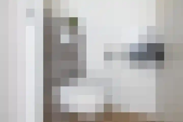Shipovalaan 21 Utrecht thumbnail 16