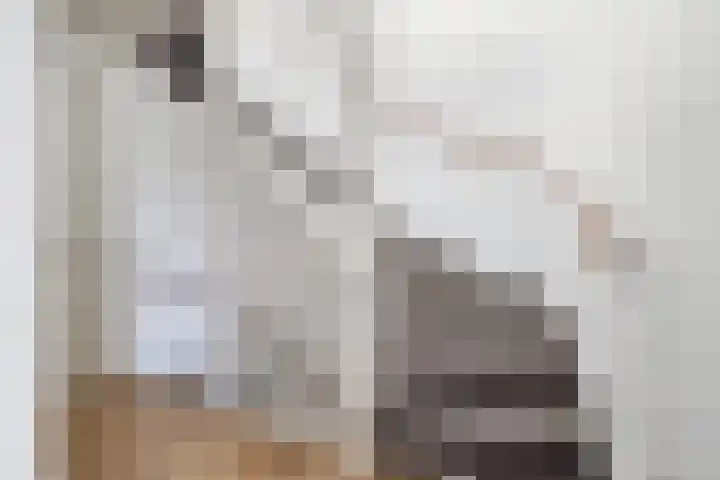 Shipovalaan 21 Utrecht thumbnail 17