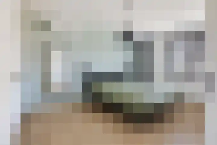 Shipovalaan 21 Utrecht thumbnail 18