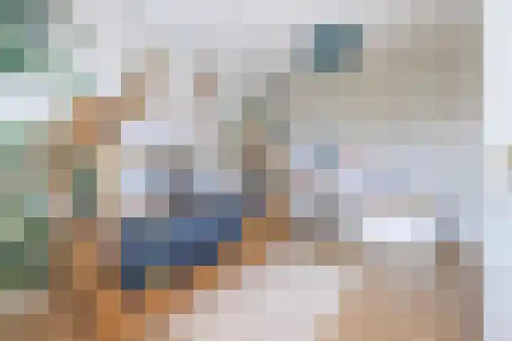 Shipovalaan 21 Utrecht thumbnail 24