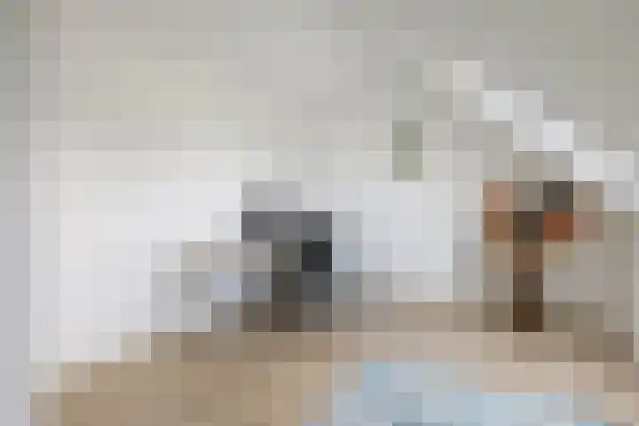 Shipovalaan 21 Utrecht thumbnail 33