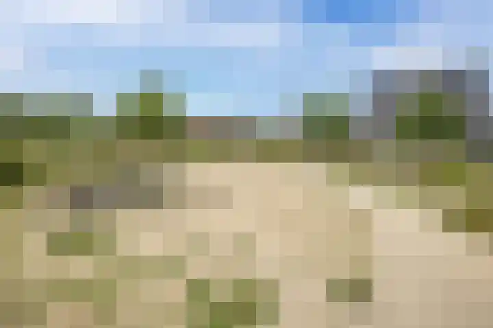 Shipovalaan 21 Utrecht thumbnail 44