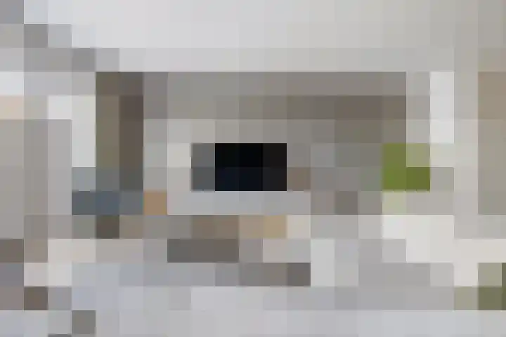 Shipovalaan 21 Utrecht thumbnail 6