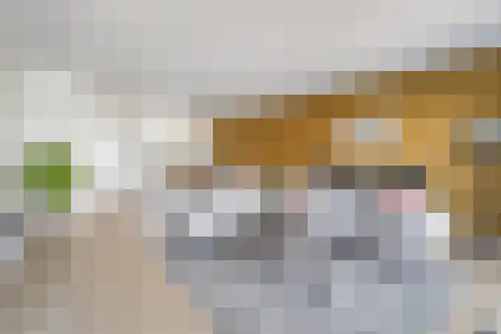 Shipovalaan 21 Utrecht thumbnail 8