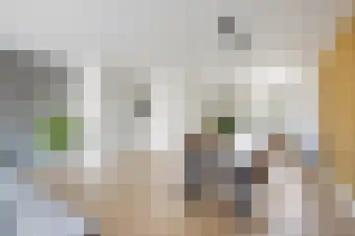 Shipovalaan 21 Utrecht thumbnail 9
