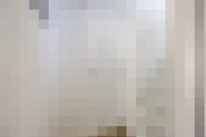 Sibeliuslaan 71 Oss thumbnail 23