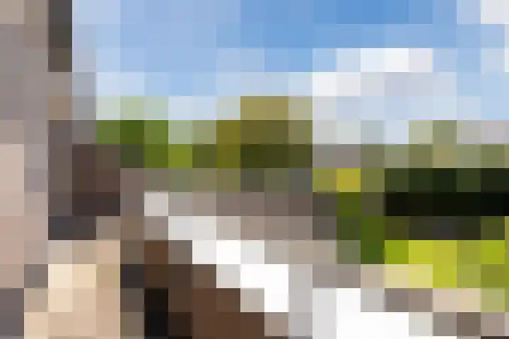 Sibeliuslaan 71 Oss thumbnail 34