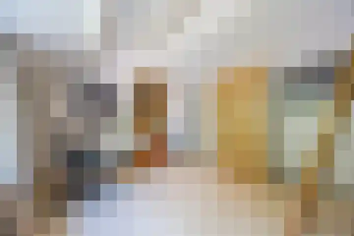 Sibeliuslaan 71 Oss thumbnail 40