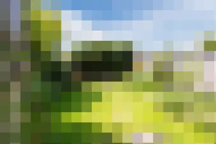 Sibeliuslaan 71 Oss thumbnail 49