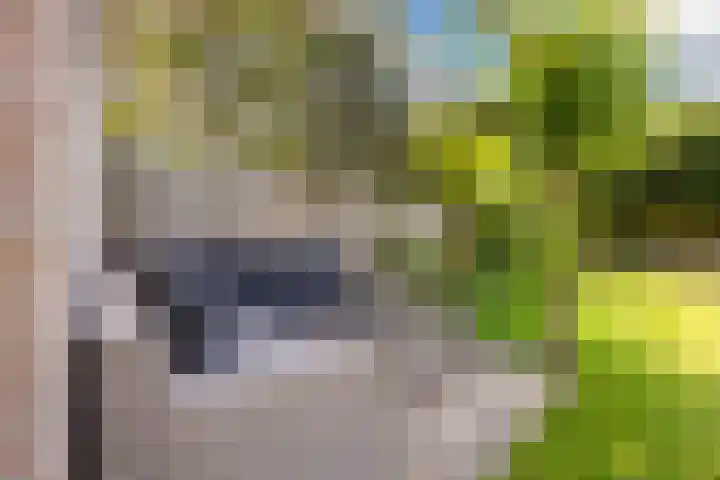 Sibeliuslaan 71 Oss thumbnail 5