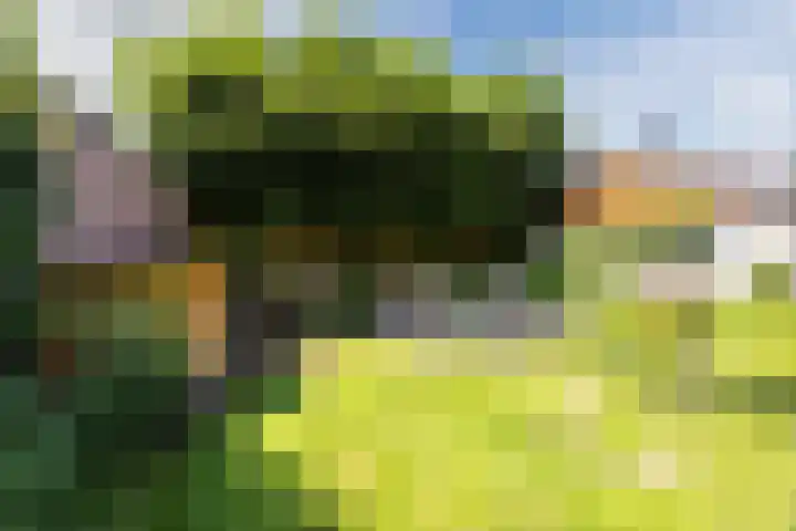 Sibeliuslaan 71 Oss thumbnail 50