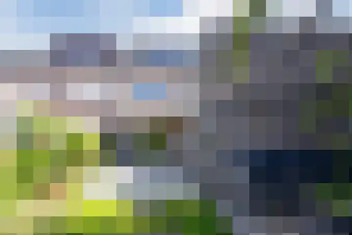 Sibeliuslaan 71 Oss thumbnail 53