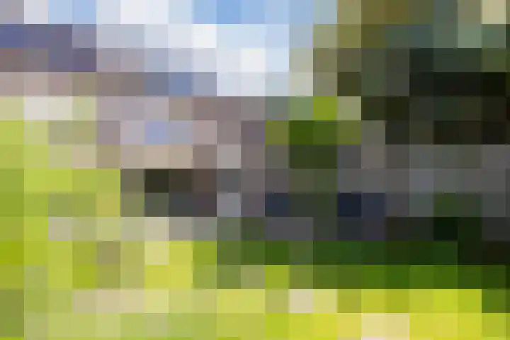 Sibeliuslaan 71 Oss thumbnail 54