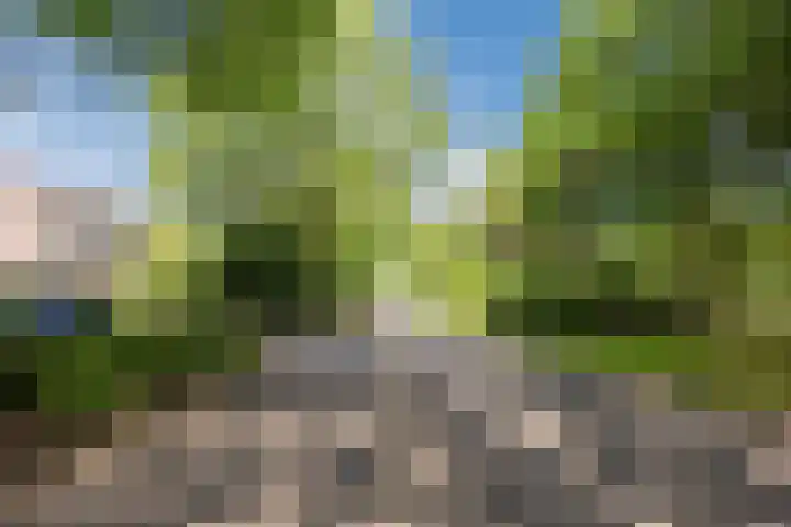 Sibeliuslaan 71 Oss thumbnail 55
