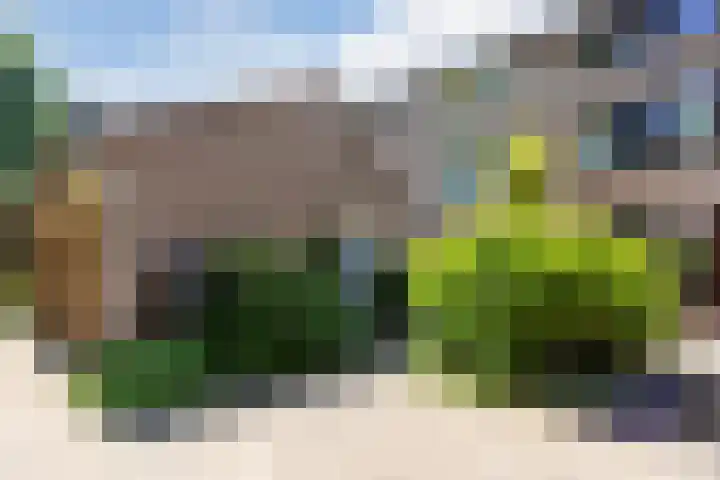 Sibeliuslaan 71 Oss thumbnail 7