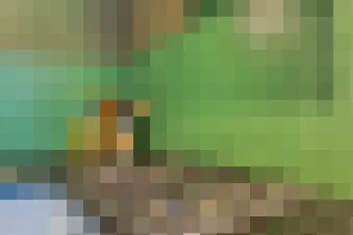 Sibeliuspark 756 Oss thumbnail 13