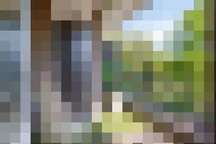 Sibeliuspark 756 Oss thumbnail 19