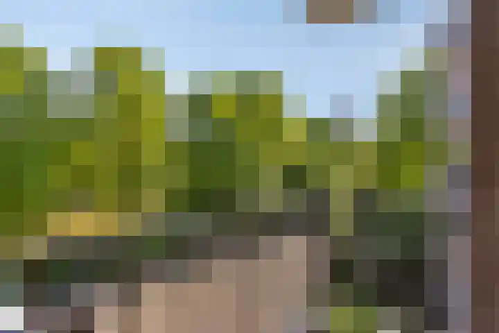 Sibeliuspark 756 Oss thumbnail 20