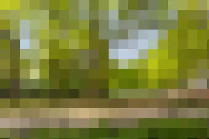 Sibeliuspark 756 Oss thumbnail 28
