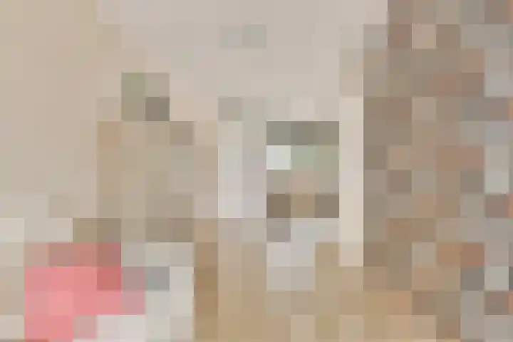 Sibeliusrode 32 Zoetermeer thumbnail 12
