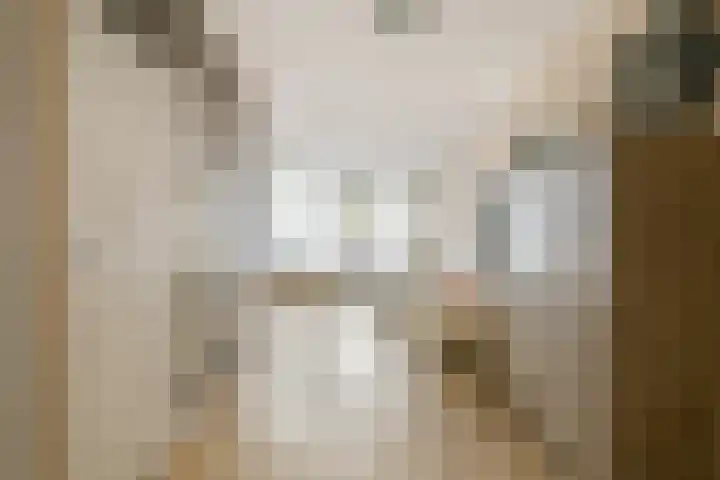 Sibeliusrode 32 Zoetermeer thumbnail 16