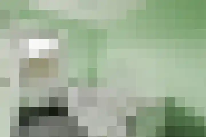 Sibeliusrode 32 Zoetermeer thumbnail 27