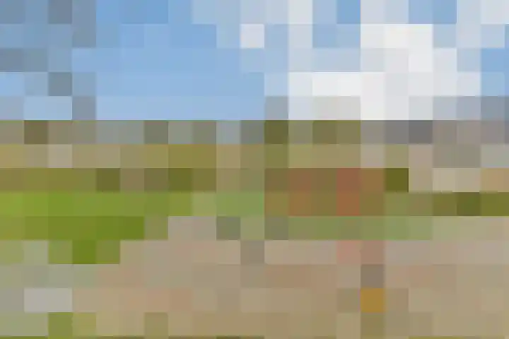 Sibeliusrode 32 Zoetermeer thumbnail 4