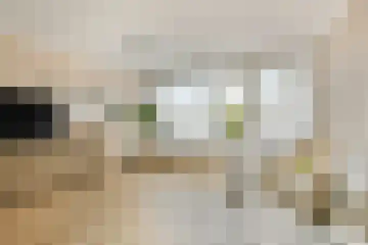 Sibeliusrode 32 Zoetermeer thumbnail 7