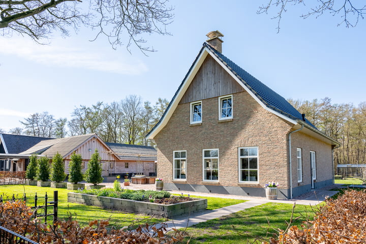 Siberië 48 in Stuifzand foto